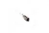 Лампа розжарювання H21W 12V 21W BAY9s (вир-во Philips) PHILIPS 12356CP (фото 1)