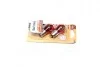 Лампа розжарювання PY21W 12V 21W BAU15s 2шт blister (вир-во Philips) PHILIPS 12496NAB2 (фото 2)