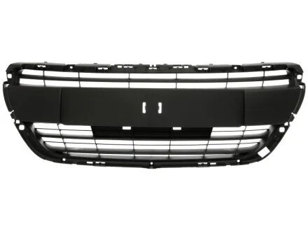 Решітка радіатора передня Platinum plus PP PE-208-15-1850 (фото 1)