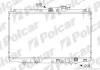 Радіатори охолодження Polcar 381808-5 (фото 1)
