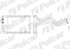 Радіатор обігрівача салону Polcar 4052N81X (фото 1)