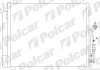 Радиатор кондиционера (Конденсатор) с осушителем Polcar 5546K8C1S (фото 1)