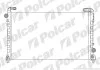 Радіатори охолодження Polcar 603308-1 (фото 1)