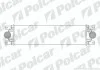 Радиаторы воздуха (Интеркулеры) Polcar 6041J8-1 (фото 1)