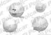 Компенсационный бачок Polcar 9541ZB-1 (фото 1)