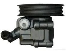 Насос гидроусилителя руля Polcar S5032006