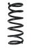 Пружина підвіски Polcar SU38179 (фото 1)