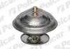 Термостат 80 °C Polcar U6M216I (фото 1)
