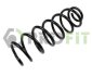 Пружина підвіски задня гвинтова PROFIT 2010-2099 (фото 1)