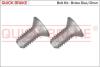 Болт гальмівного диска QUICK BRAKE 11671K (фото 1)