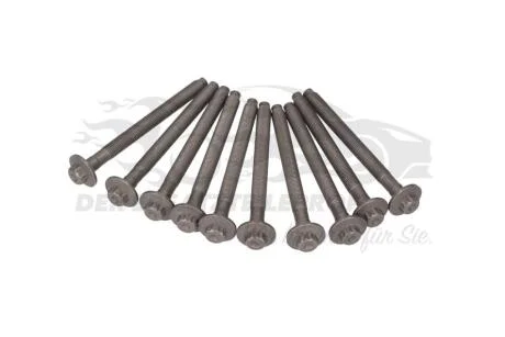 Болти головки блоку циліндрів, комплект RENAULT 110560195R