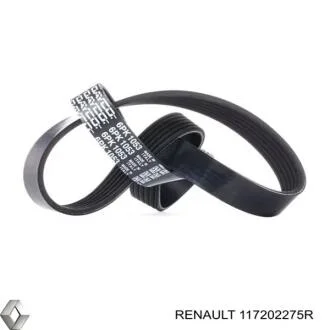 Полікліновий ремінь RENAULT 117202275R