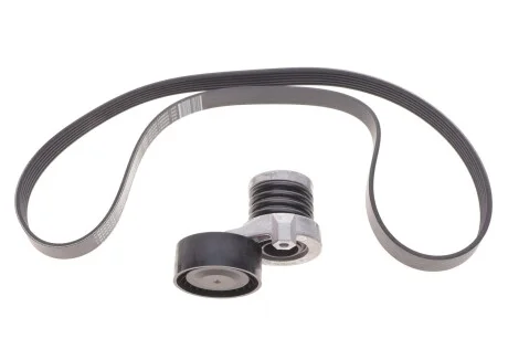 Комплект ремня генератора RENAULT 117202495R