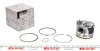 Поршень RENAULT 120A10282R (фото 1)