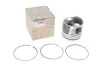 Поршень RENAULT 12 0A 126 95R (фото 1)