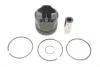 Поршень RENAULT 120A17699R (фото 1)