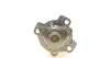 Насоси охолоджуючі RENAULT 210105857R (фото 4)