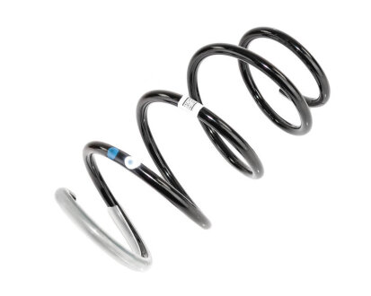 Пружина передняя (метки син RENAULT 540100029R