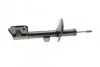 Амортизатор газомасляный двухтрубный передний мост слева, справа RENAULT 543026656R (фото 2)
