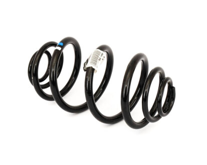 Пружина зад. Trafic II III RENAULT 550200619R