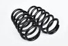 Пружина підвіски задня гвинтова RENAULT 550202322R (фото 1)