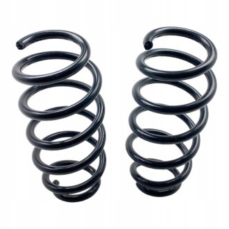 Пружина підвіски задня RENAULT 550203802R