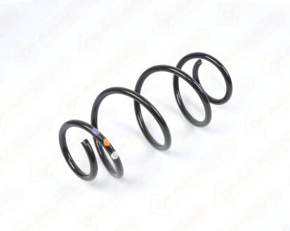 Пружина подвески задняя Rena RENAULT 550209895R