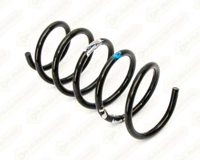 Пружина RENAULT 6001548549