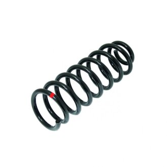 Пружина зад. logan 04- RENAULT 6001548731