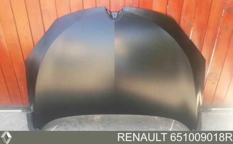 Капот RENAULT 651009018R