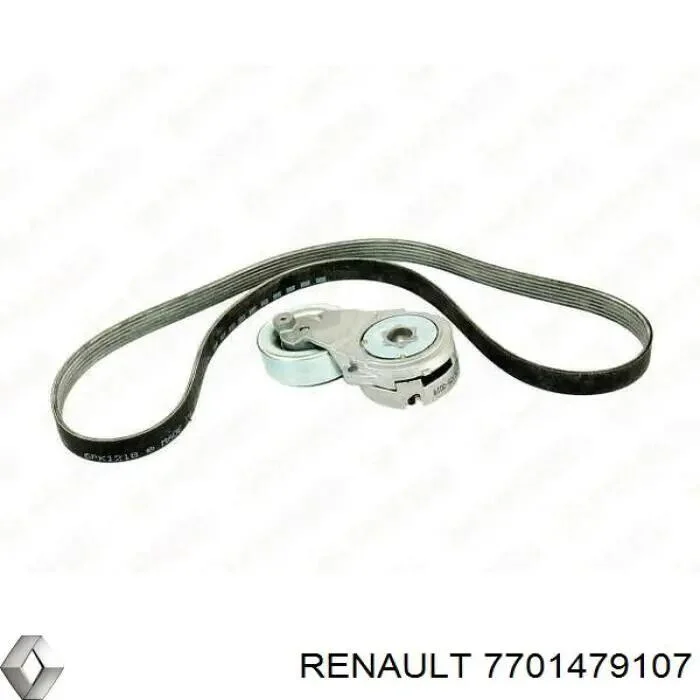 Комплект ремня генератора RENAULT 7701479107 (фото 1)