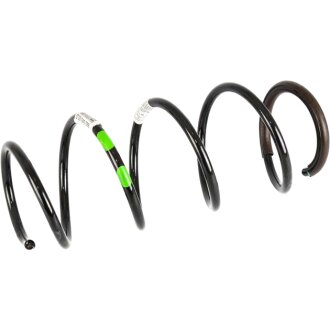 Пружина перед. Megane II 02-0 RENAULT 8200040088