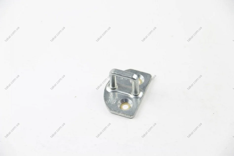 Петля замка дверь kangoo ii RENAULT 8200219250 (фото 1)