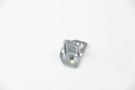 Петля замка двері kangoo ii RENAULT 8200219250