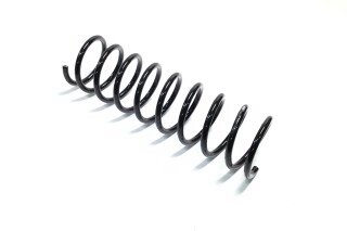 Пружина подвески задняя RIDER 2101-2912712-01