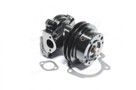 Насос водяной Д 245Е2, МТЗ 1025 RIDER 245-1307010-А1-11