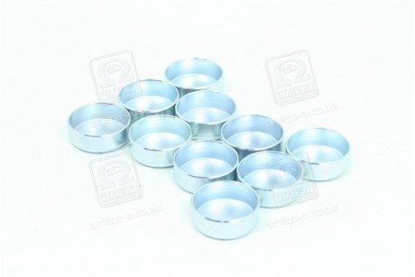 Заглушки (10 шт.) суппорту KNORR SN6,SN7 RIDER RD 08402