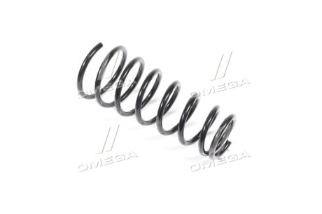 Пружина підв. HYUNDAI MATRIX 01-10 задн. RIDER RD.28110112