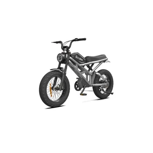 Електровелосипед 1000W, 48V25Ah, Silver (БЕЗ АКУМУЛЯТОРА) Rooder 00000068706 (фото 1)