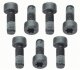 Комплект болтів маховика SACHS 1874 000 040 (фото 1)