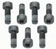 Комплект болтів маховика SACHS 1874 000 040 (фото 1)