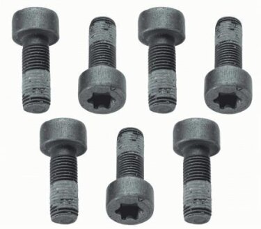 Комплект болтів маховика SACHS 1874 000 040