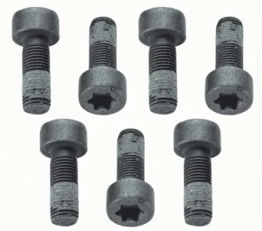 Комплект болтів маховика SACHS 1874 000 040