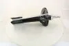 Амортизационная стойка газомасляная двухтрубная передняя двусторонняя Sachs SACHS 317 610 (фото 3)