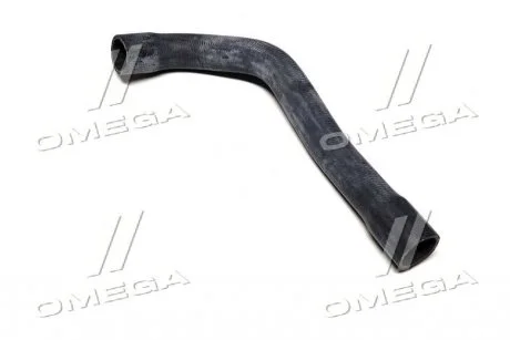 Патрубок водяного охлаждения двигателя, справа сверху BMW (выр-во Sasic) SASIC 3406084