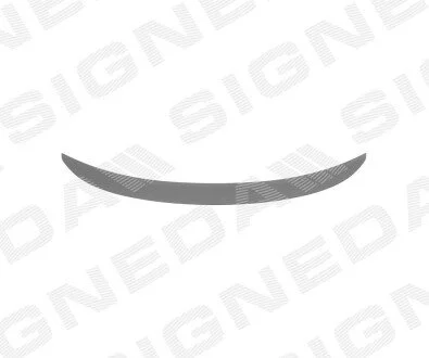 Спойлер Signeda PBM06002VA