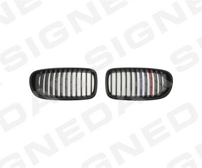 Решітка радіатора передня Signeda PBM99107SET