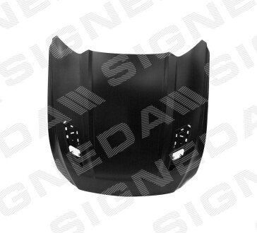 Капот Signeda PFD20194C