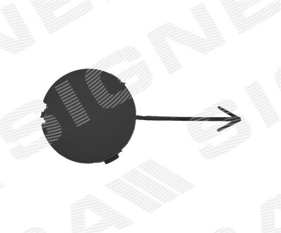 Заглушка гака буксирування SignedaV Signeda PFD99398CA