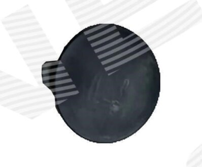 Заглушка гака буксирування SignedaV Signeda PTS99010CA